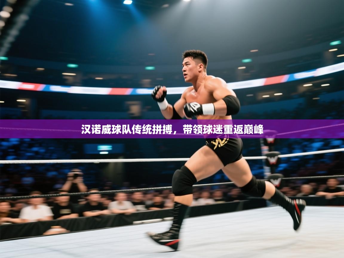 汉诺威球队传统拼搏，带领球迷重返巅峰  第2张